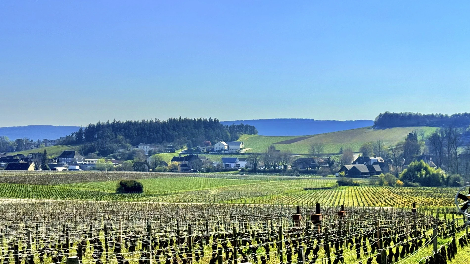 photo de Mercurey (71640) vue des vignes, en côte Chalonnaise, entre Givry et Rully.
